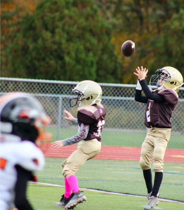 Bears game action