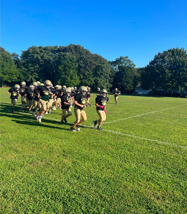 Bears walking the field at an evening summer practice