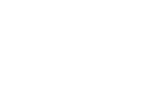 Stonington Bears